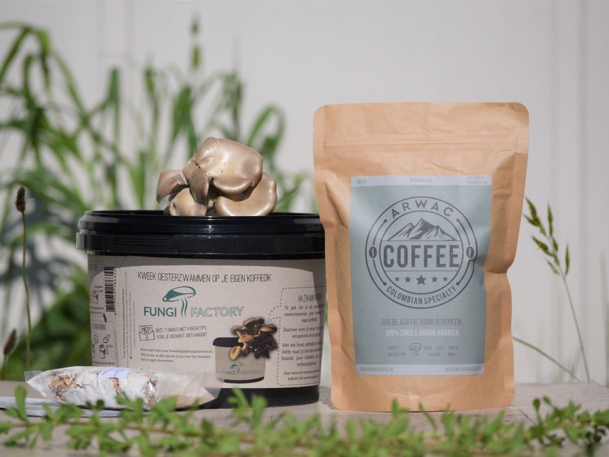 Afbeelding van Growkit | Fungi Factory